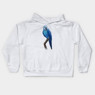 Blue Beauty Kids Hoodie